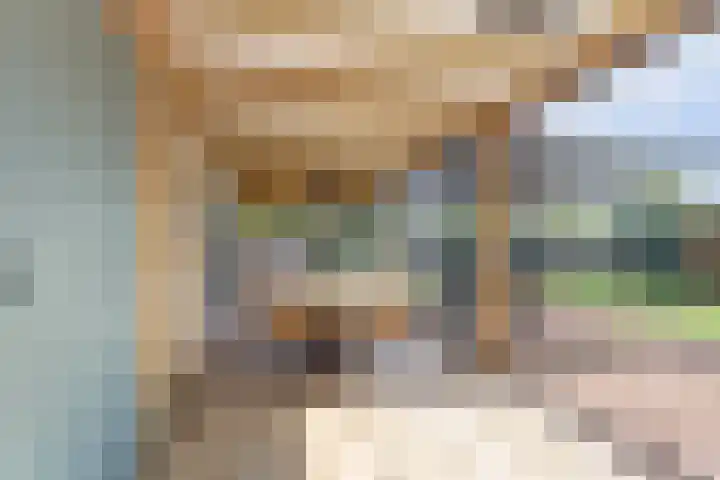 Beukenlaan 3 Kamperland thumbnail 27