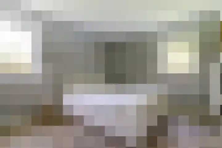 Beukenlaan 3 Kamperland thumbnail 30