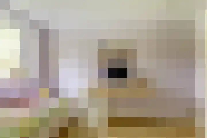 Beukenlaan 3 Kamperland thumbnail 32