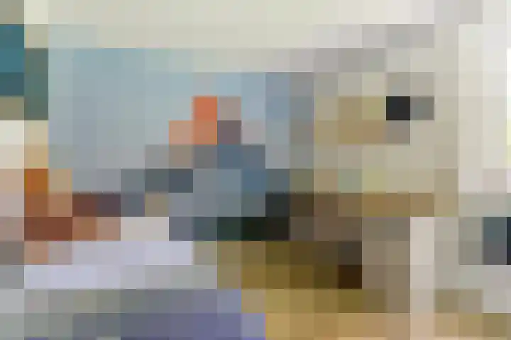 Beukenlaan 3 Kamperland thumbnail 34