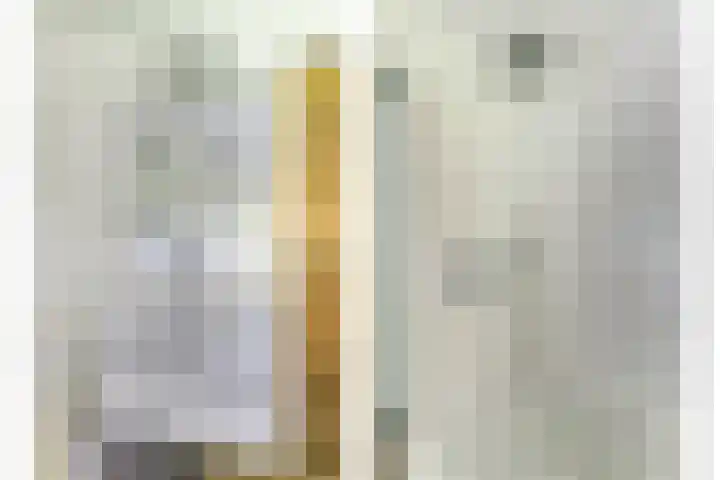 Beukenlaan 3 Kamperland thumbnail 38