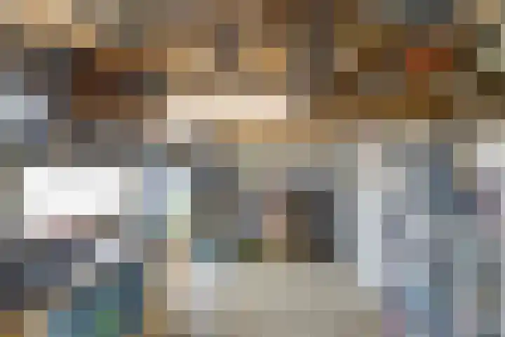 Beukenlaan 3 Kamperland thumbnail 39