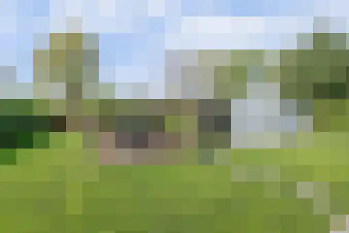 Beukenlaan 3 Kamperland thumbnail 41