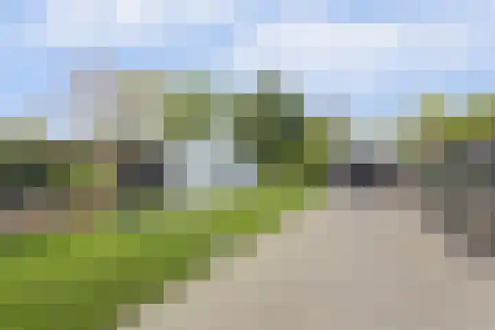Beukenlaan 3 Kamperland thumbnail 42