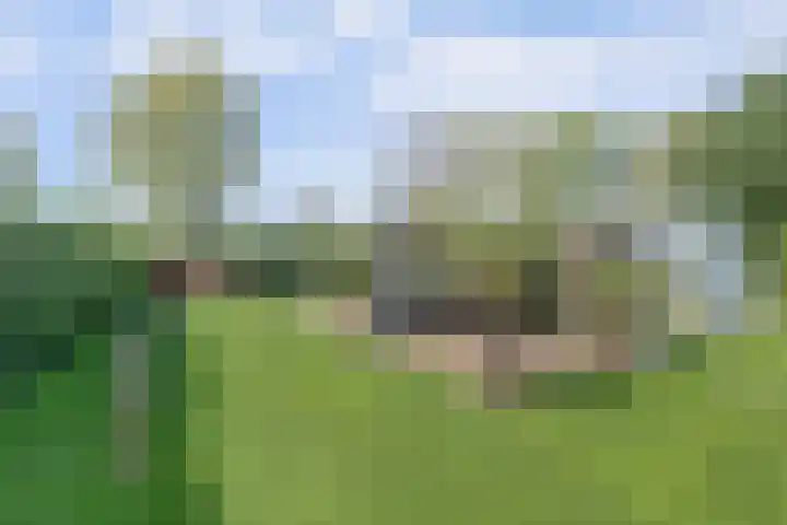Beukenlaan 3 Kamperland thumbnail 43