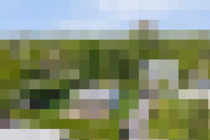 Beukenlaan 3 Kamperland thumbnail 49
