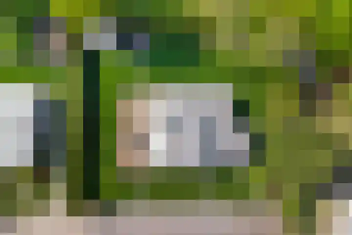 Beukenlaan 3 Kamperland thumbnail 6