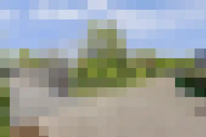 Beukenlaan 3 Kamperland thumbnail 7