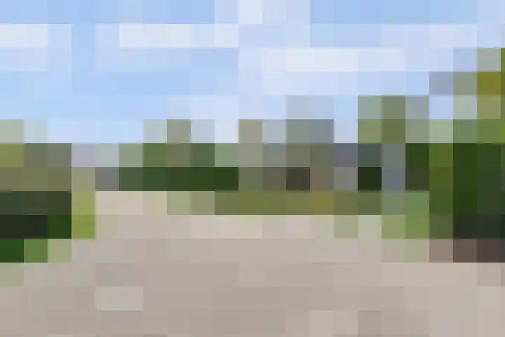 Beukenlaan 3 Kamperland thumbnail 8