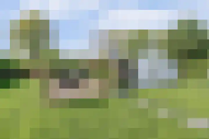 Beukenlaan 3 Kamperland thumbnail 9