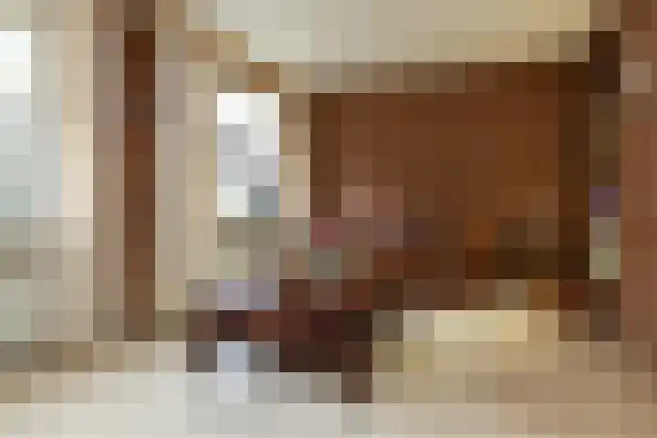 Beukenlaan 30 Nunspeet thumbnail 11