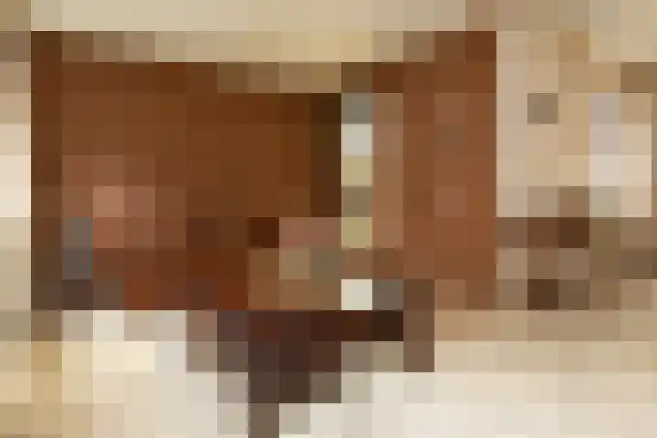 Beukenlaan 30 Nunspeet thumbnail 12