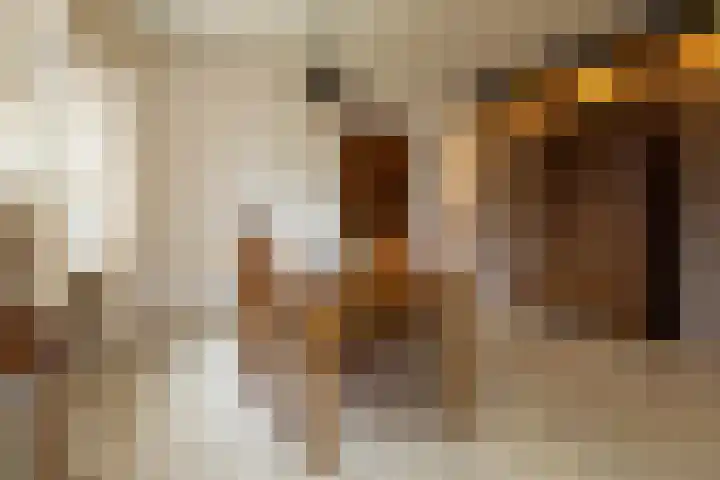 Beukenlaan 30 Nunspeet thumbnail 14