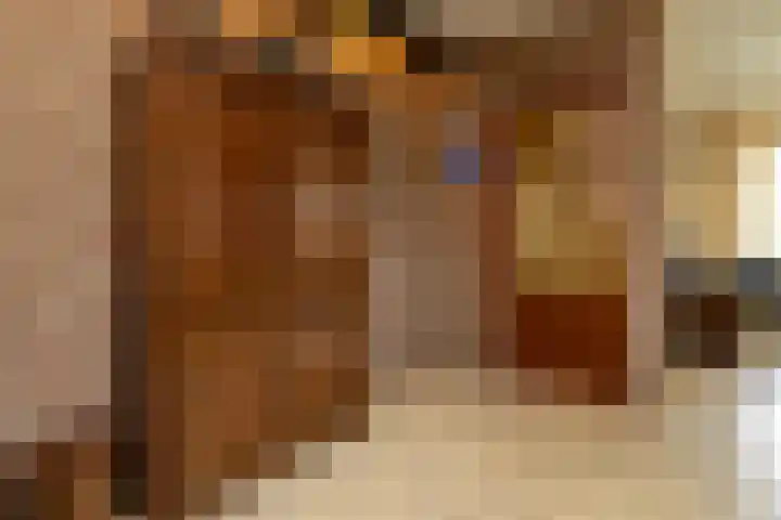Beukenlaan 30 Nunspeet thumbnail 16