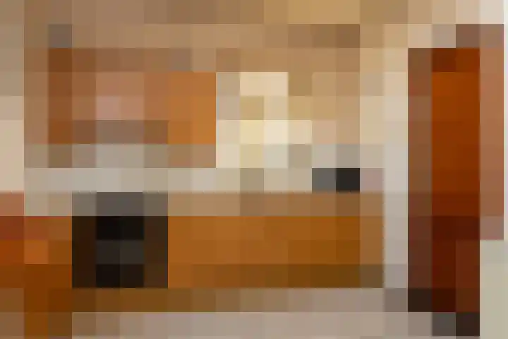 Beukenlaan 30 Nunspeet thumbnail 17