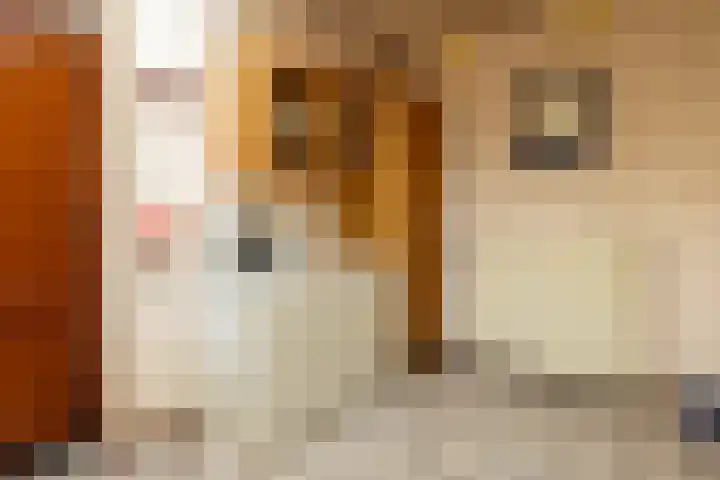 Beukenlaan 30 Nunspeet thumbnail 20