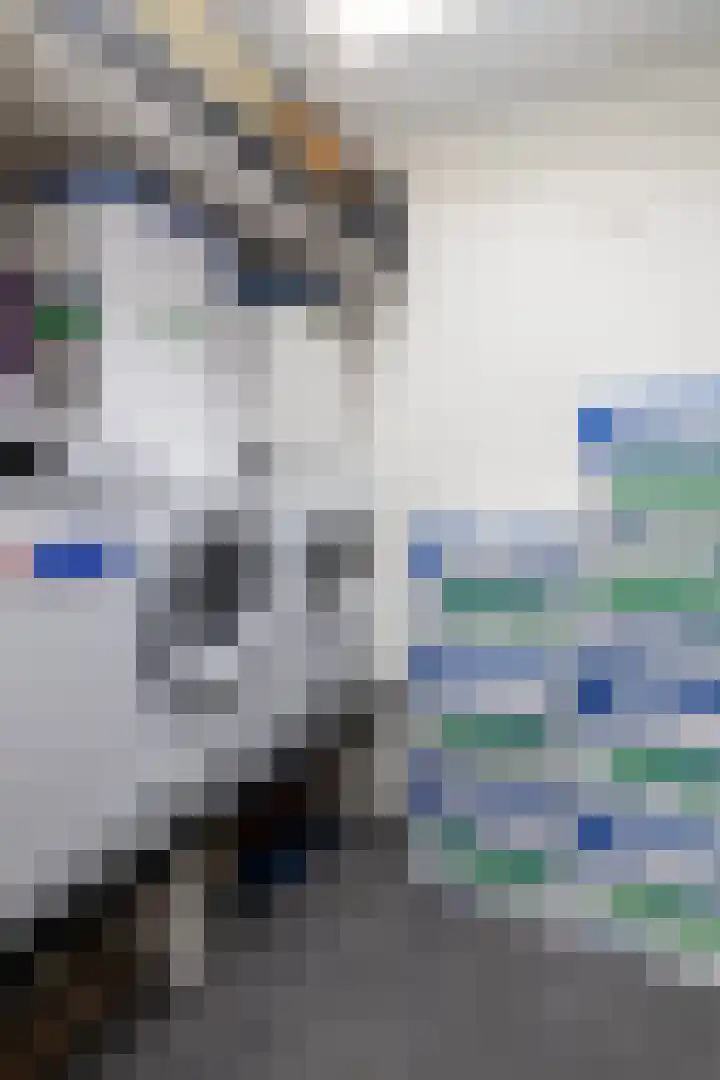 Beukenlaan 30 Nunspeet thumbnail 26
