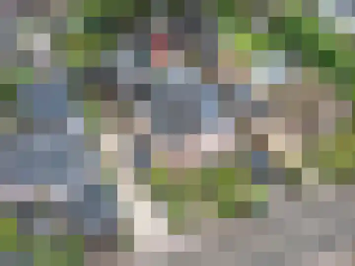 Beukenlaan 30 Nunspeet thumbnail 36