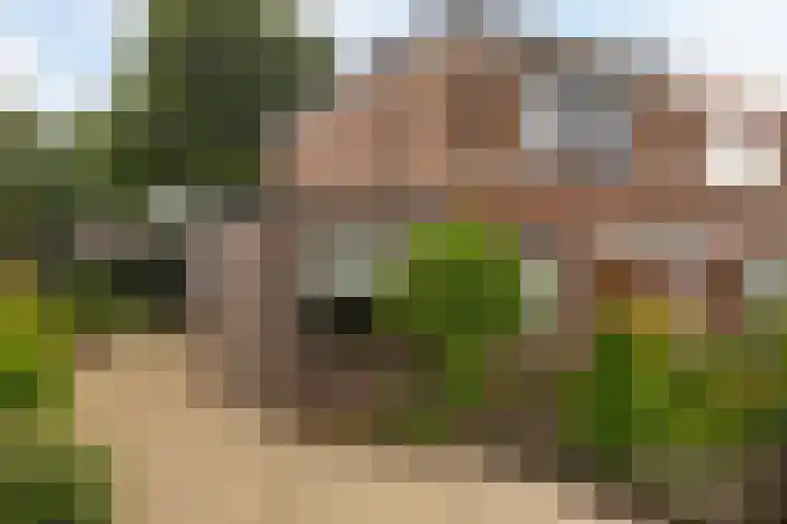 Beukenlaan 30 Nunspeet thumbnail 38