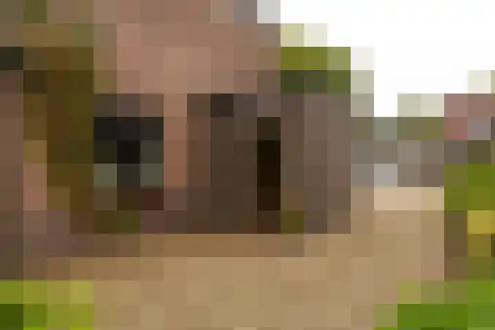 Beukenlaan 30 Nunspeet thumbnail 39