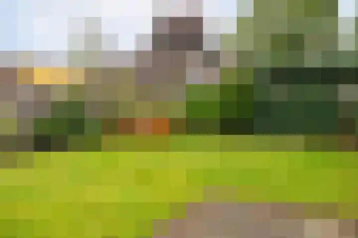 Beukenlaan 30 Nunspeet thumbnail 4