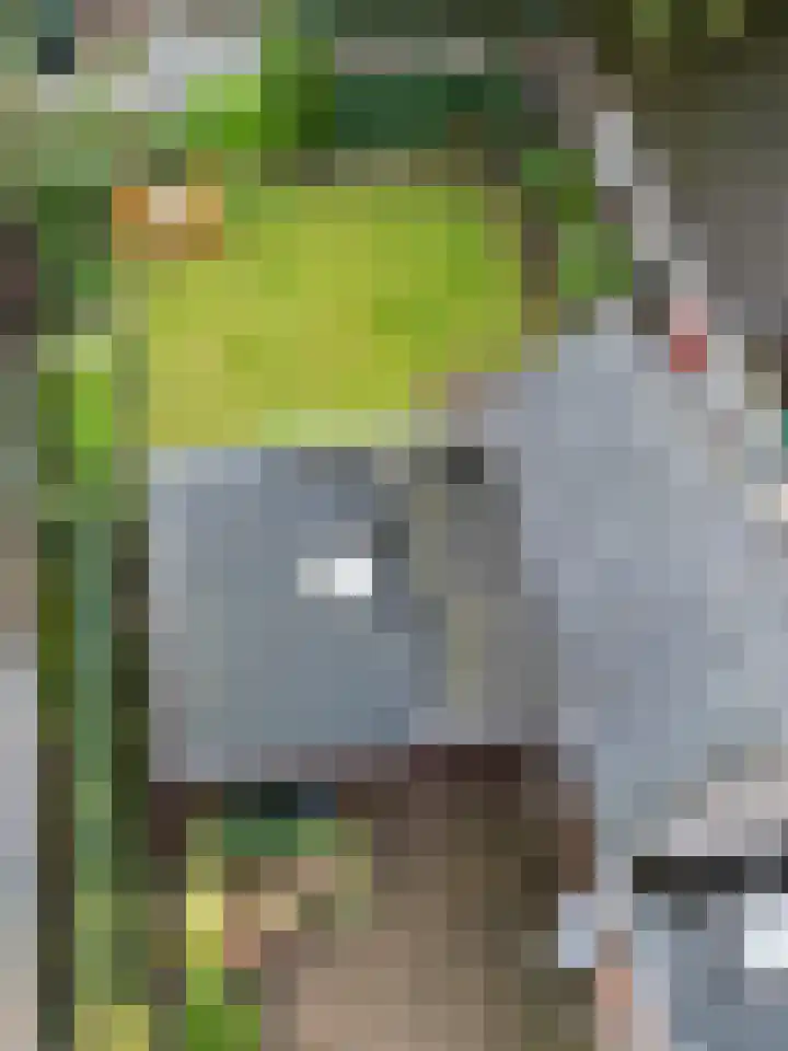 Beukenlaan 30 Nunspeet thumbnail 41