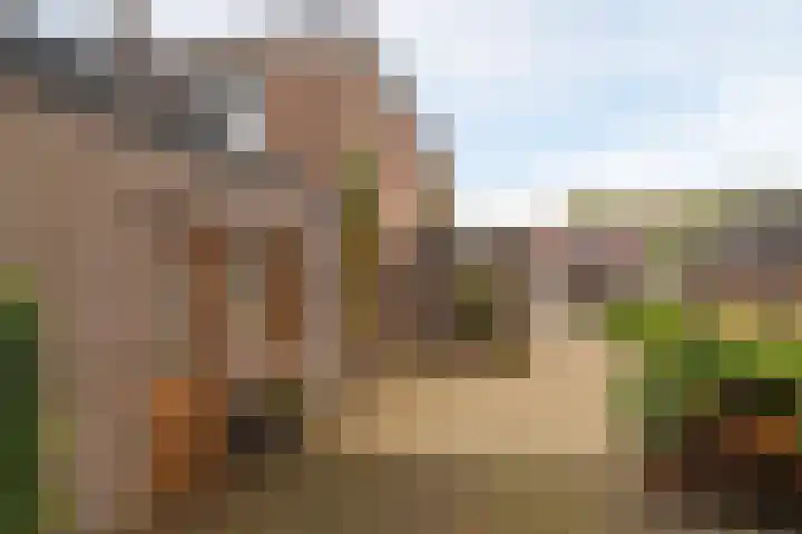 Beukenlaan 30 Nunspeet thumbnail 5