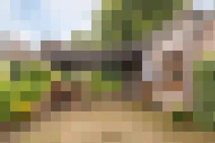 Beukenlaan 30 Nunspeet thumbnail 6