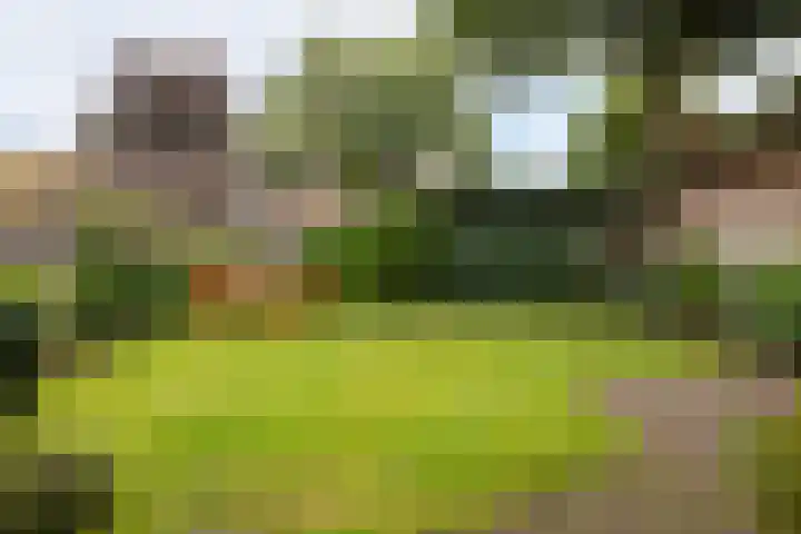 Beukenlaan 30 Nunspeet thumbnail 7