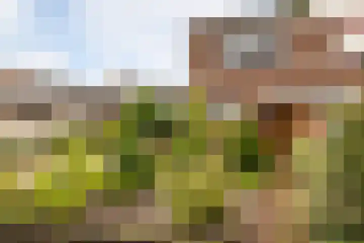 Beukenlaan 30 Nunspeet thumbnail 9
