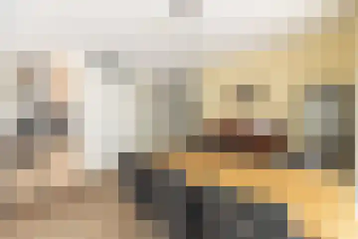 Beukenlaan 30 Zundert thumbnail 12
