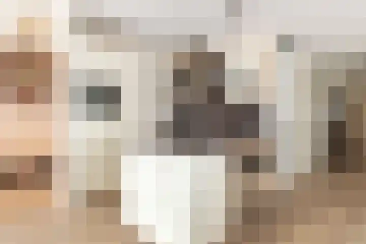 Beukenlaan 30 Zundert thumbnail 16