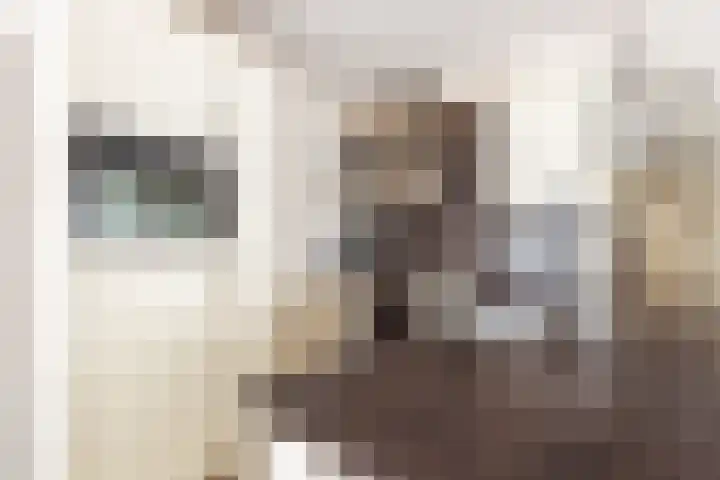 Beukenlaan 30 Zundert thumbnail 17