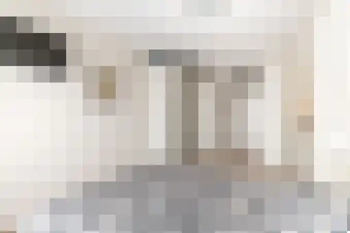 Beukenlaan 30 Zundert thumbnail 19