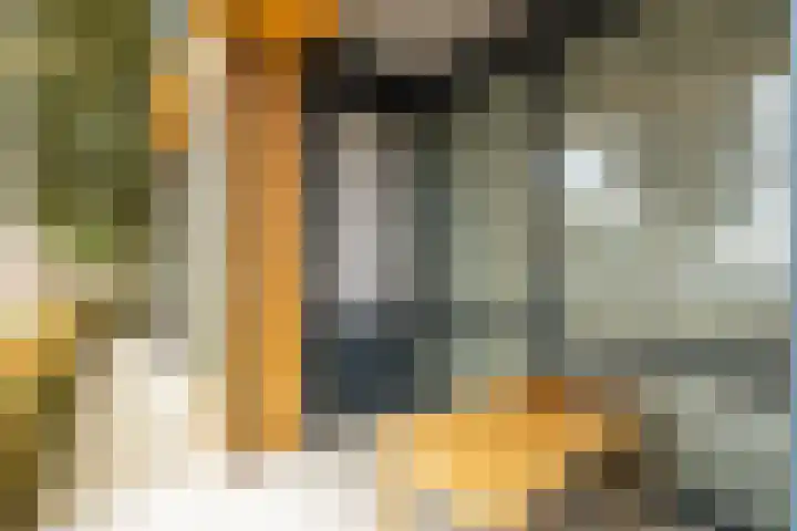 Beukenlaan 30 Zundert thumbnail 24