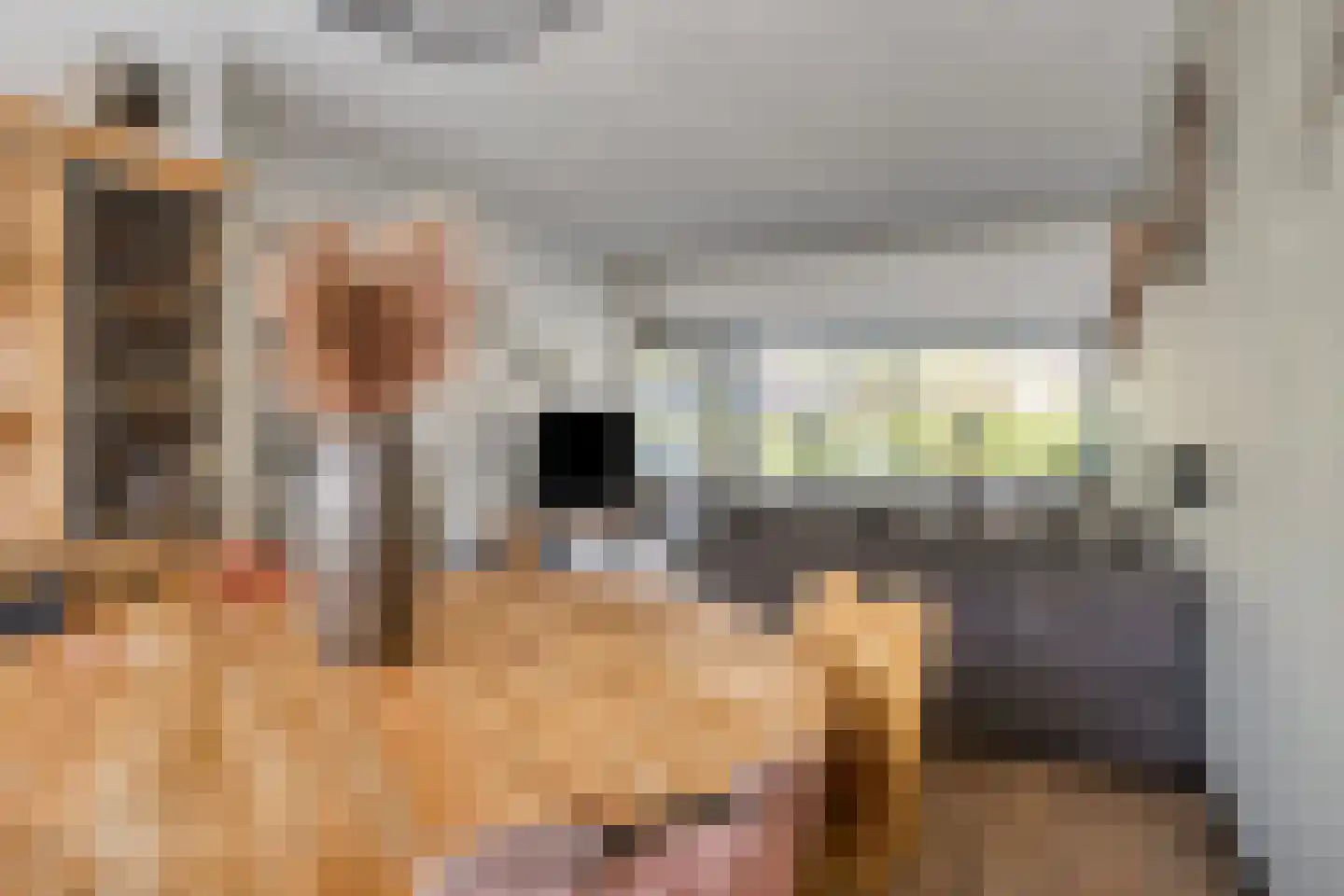 Beukenlaan 31 Schagen thumbnail 15