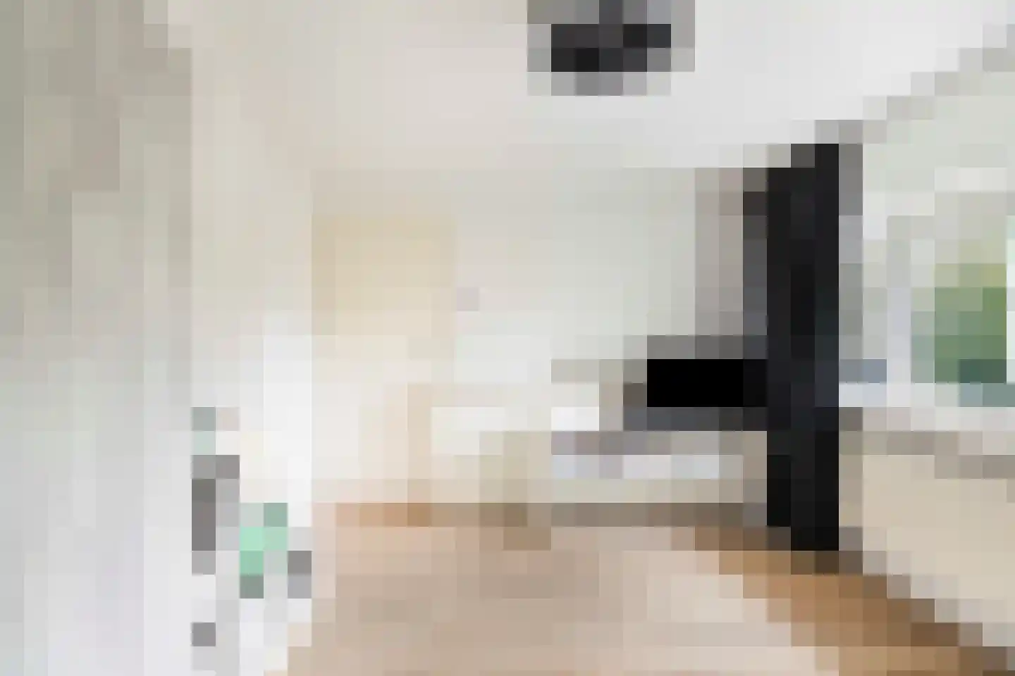 Beukenlaan 31 Schagen thumbnail 17