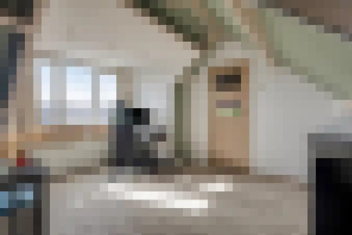 Beukenlaan 31 Schagen thumbnail 27