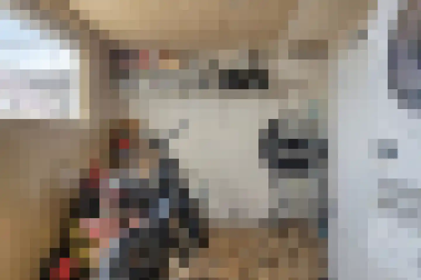 Beukenlaan 31 Schagen thumbnail 37