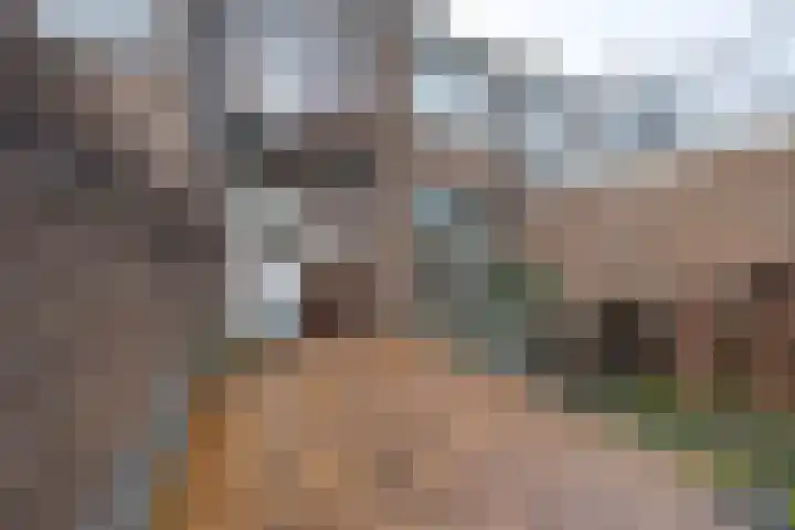 Beukenlaan 34 Volendam thumbnail 18