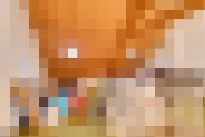 Beukenlaan 34 Volendam thumbnail 32