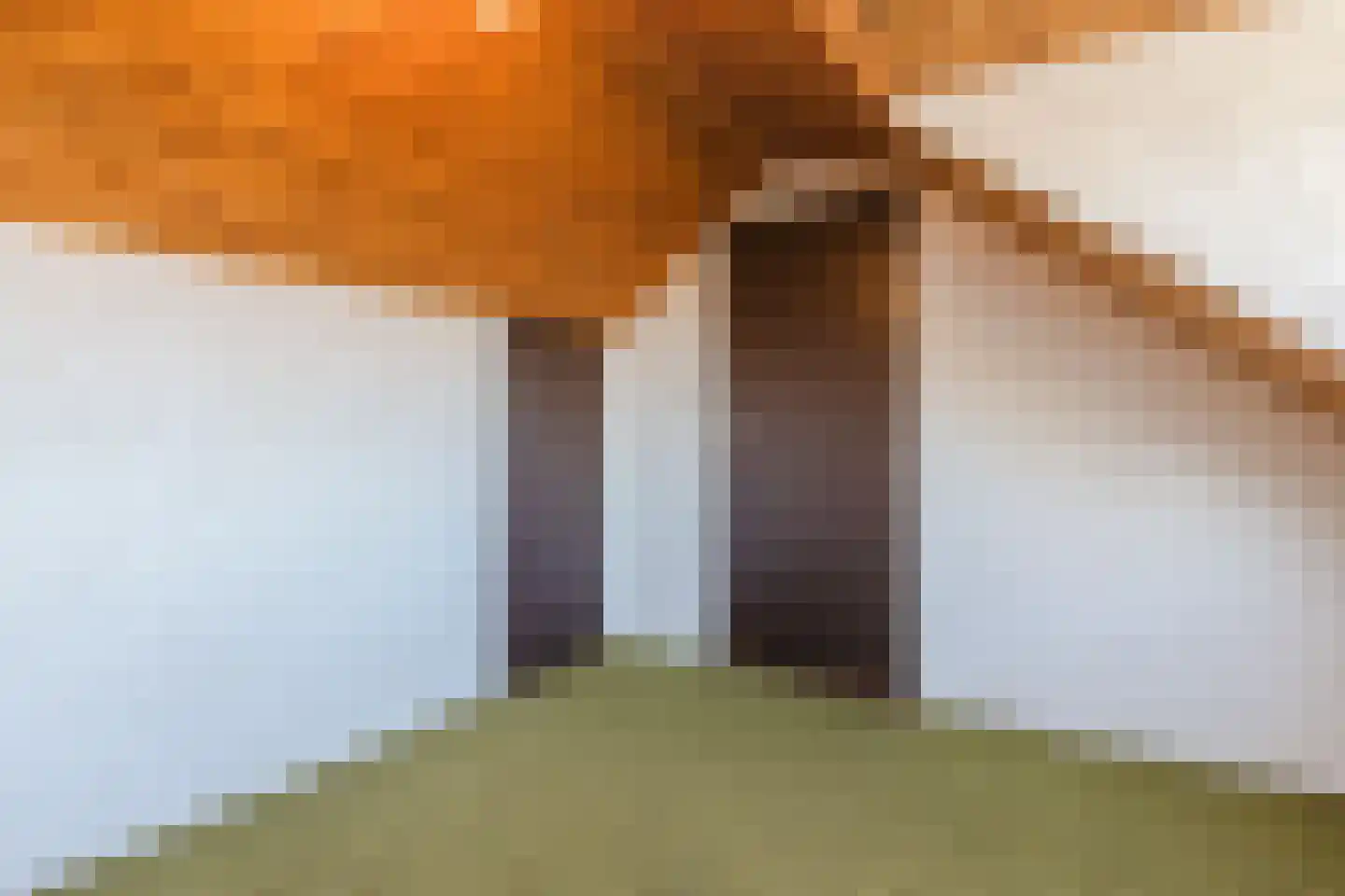 Beukenlaan 35 Leende thumbnail 22