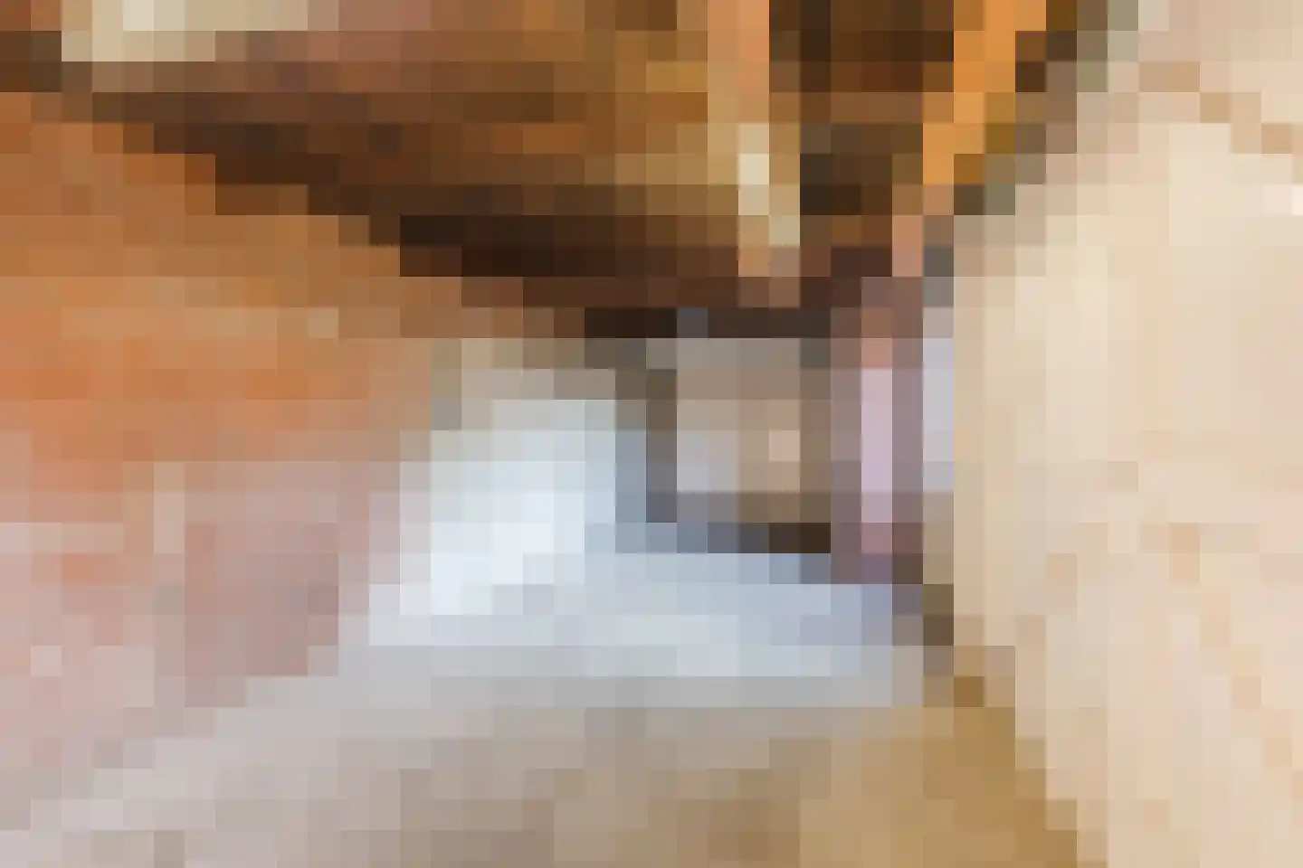 Beukenlaan 35 Leende thumbnail 27