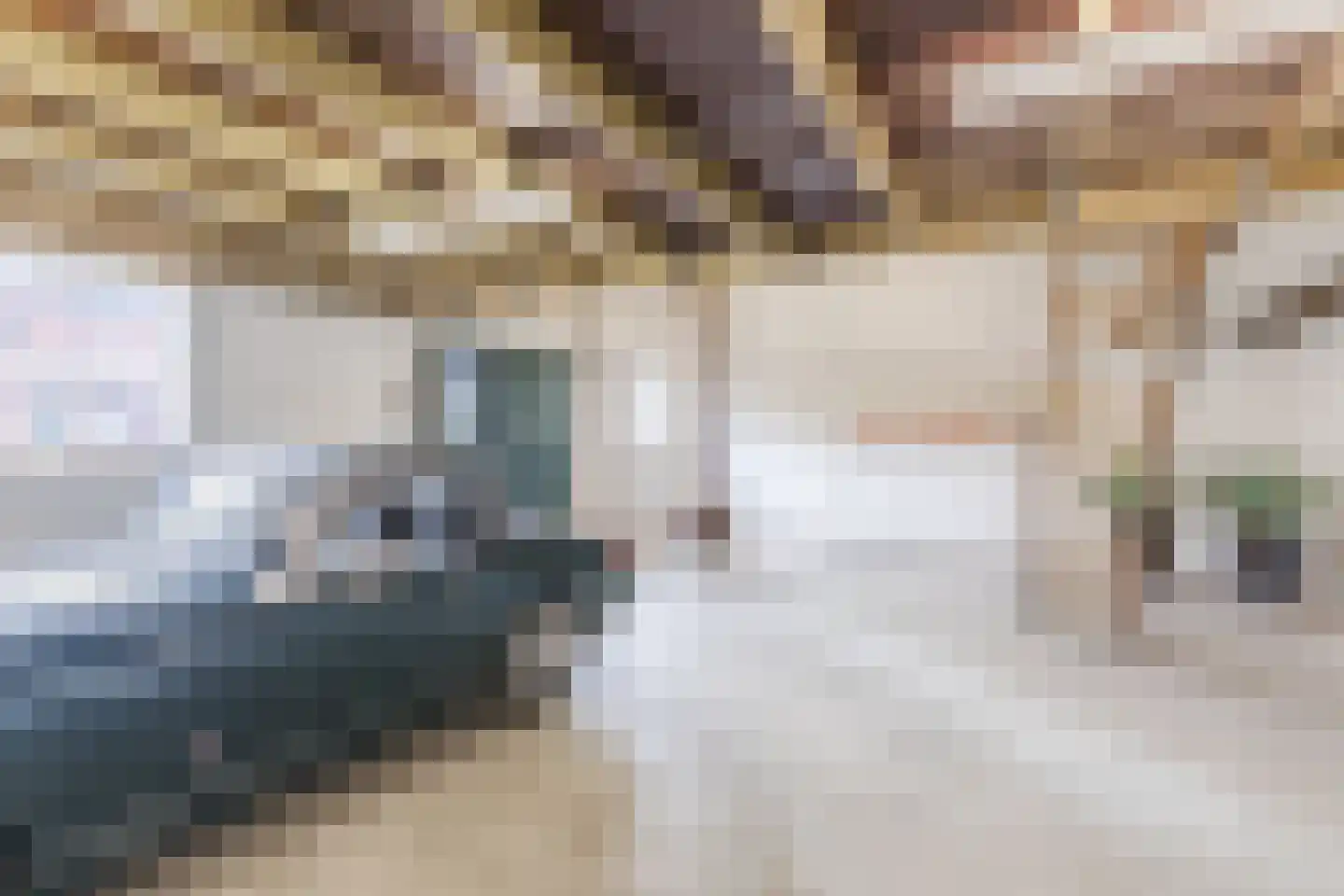 Beukenlaan 35 Leende thumbnail 30