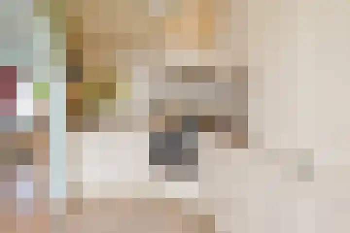 Beukenlaan 35 Middenmeer thumbnail 16