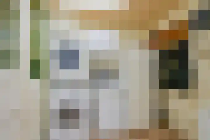Beukenlaan 35 Middenmeer thumbnail 17