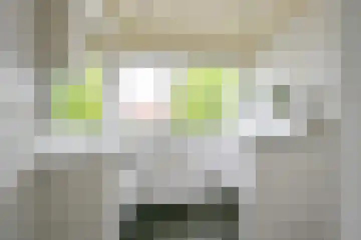 Beukenlaan 35 Middenmeer thumbnail 26