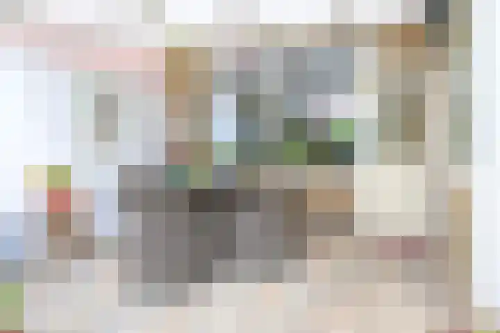 Beukenlaan 35 Middenmeer thumbnail 29