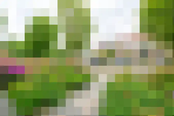 Beukenlaan 35 Middenmeer thumbnail 32