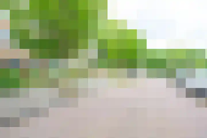 Beukenlaan 35 Middenmeer thumbnail 34